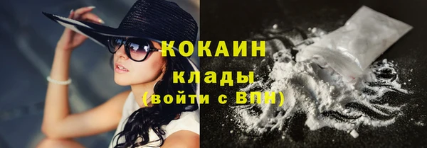 прущие грибы Абинск