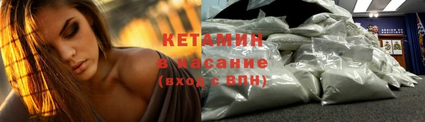 прущие грибы Абинск