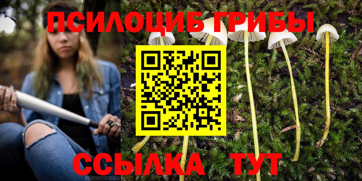 Псилоцибиновые грибы Magic Shrooms Алапаевск