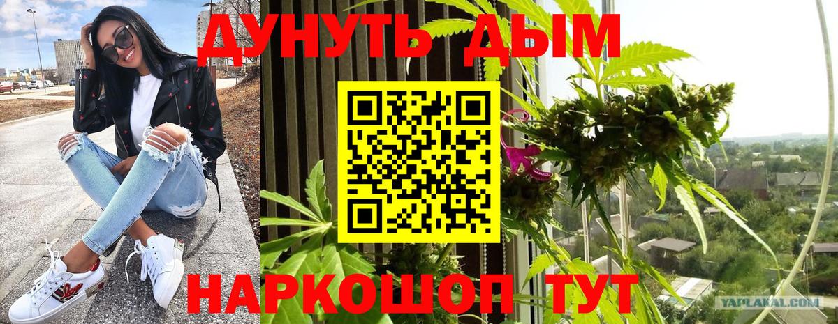 Шишки марихуана гибрид Алапаевск